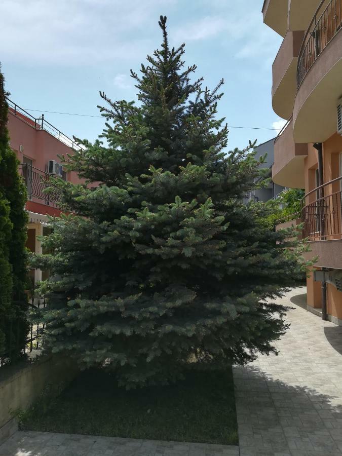 Hotel Dalia Nesebar Esterno foto